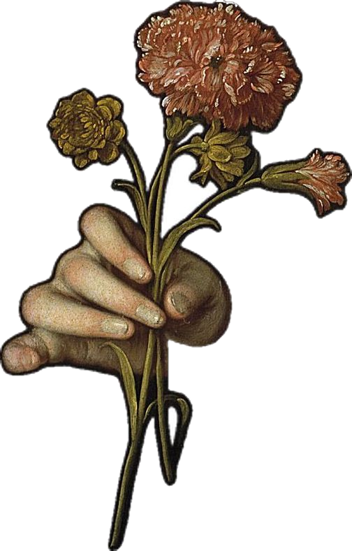 An engraved hand holding a bunch of carnations