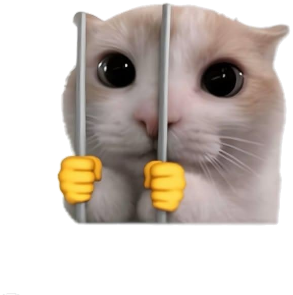 Cat eagerly looking forward. Step one: name your goals